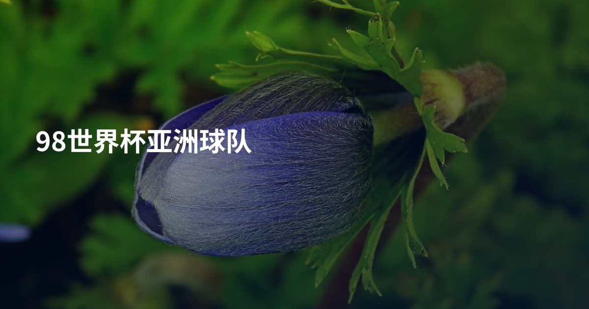 98世界杯亚洲球队
