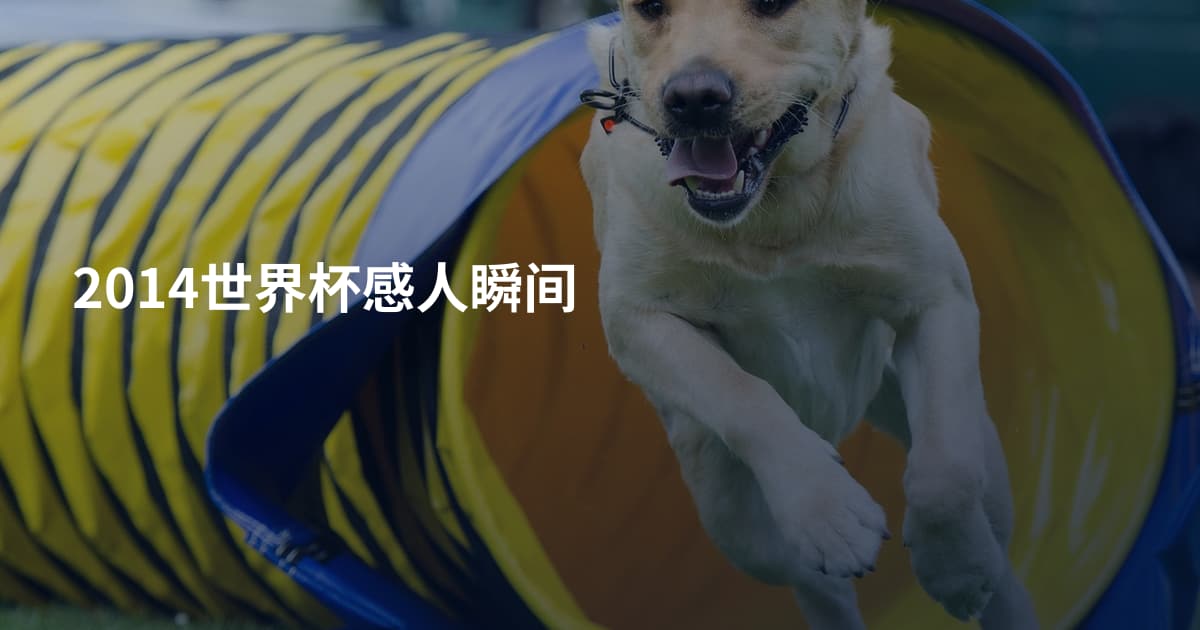 2014世界杯感人瞬间