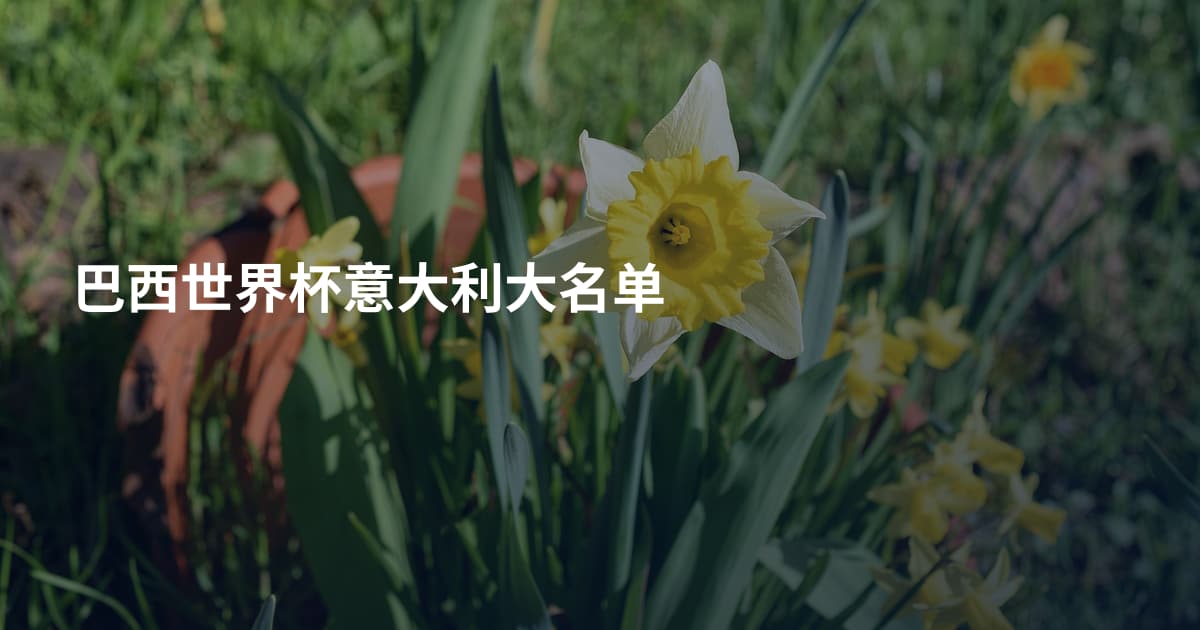 巴西世界杯意大利大名单