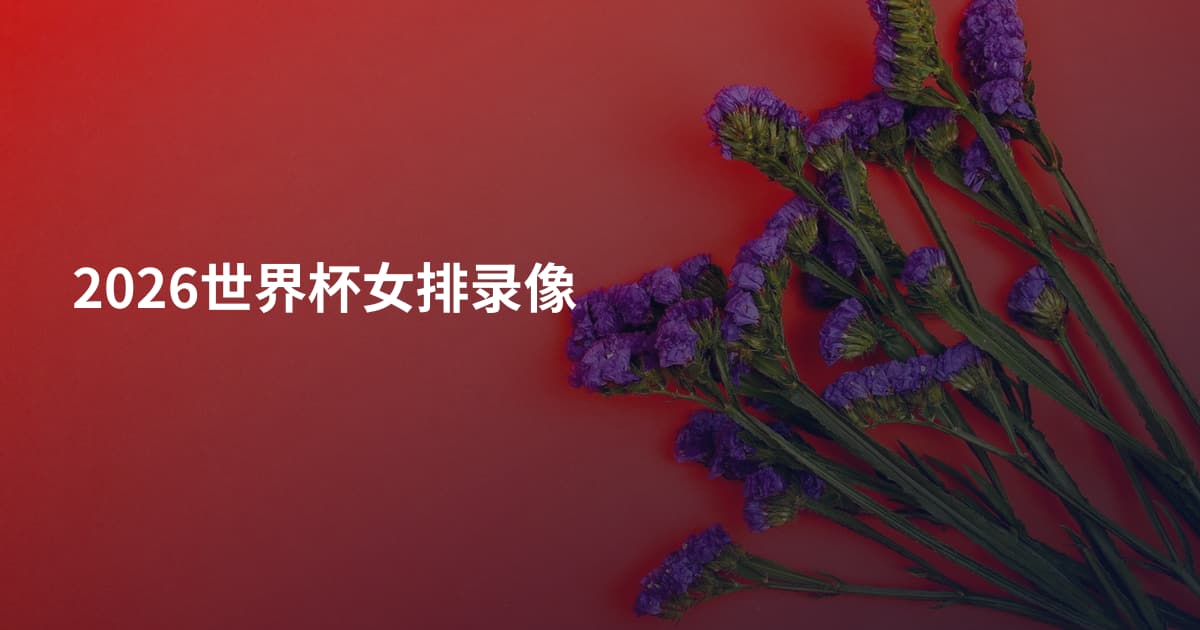 2026世界杯女排录像