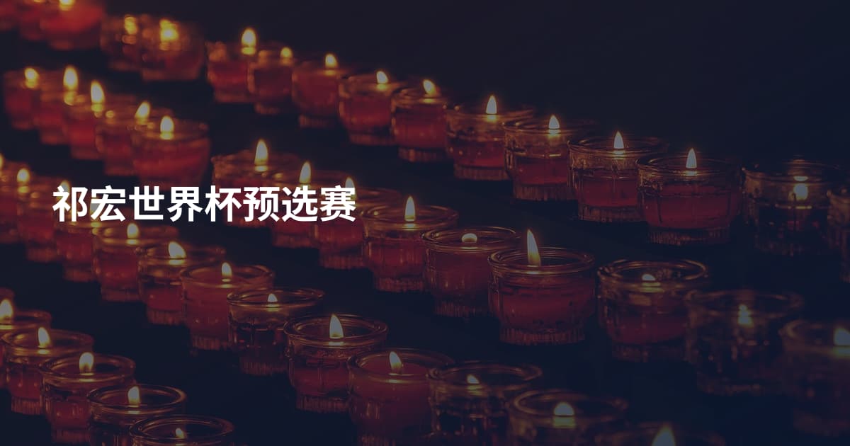 祁宏世界杯预选赛