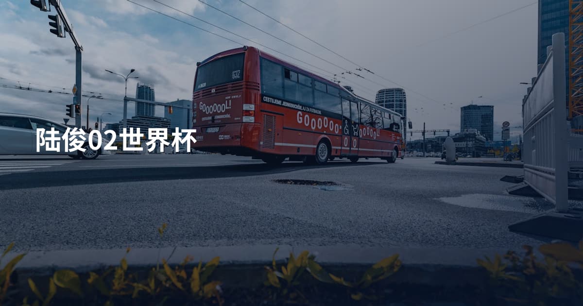 陆俊02世界杯