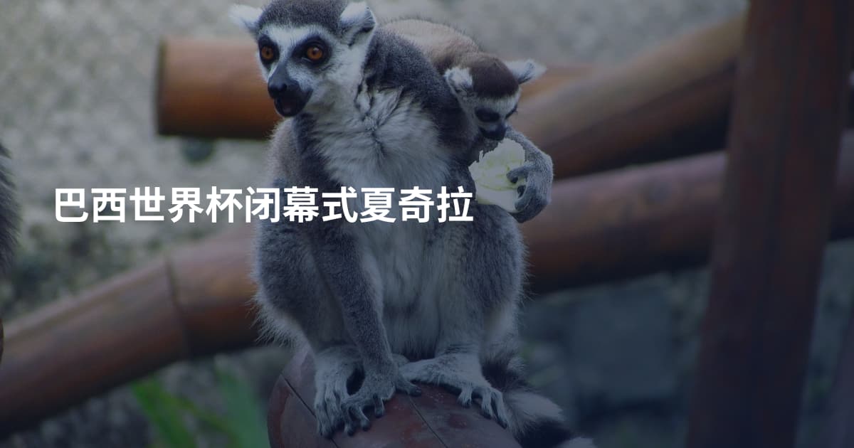 巴西世界杯闭幕式夏奇拉