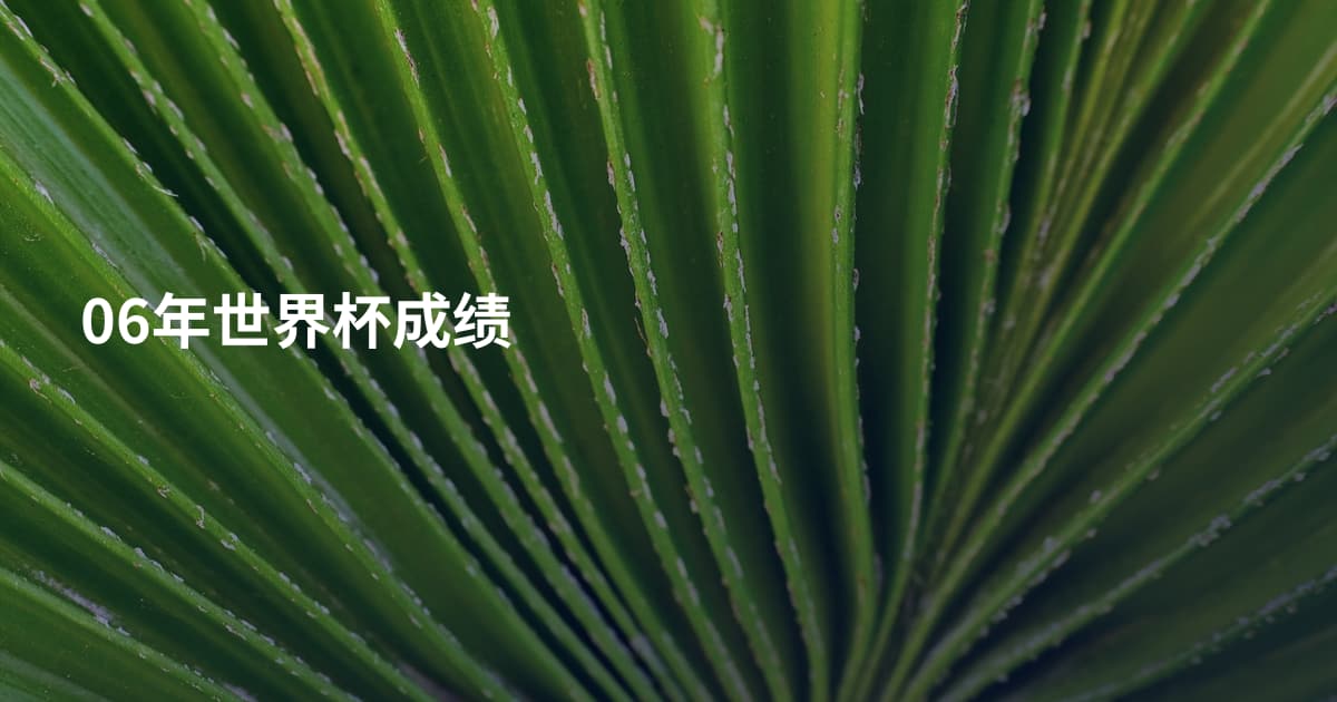 06年世界杯成绩