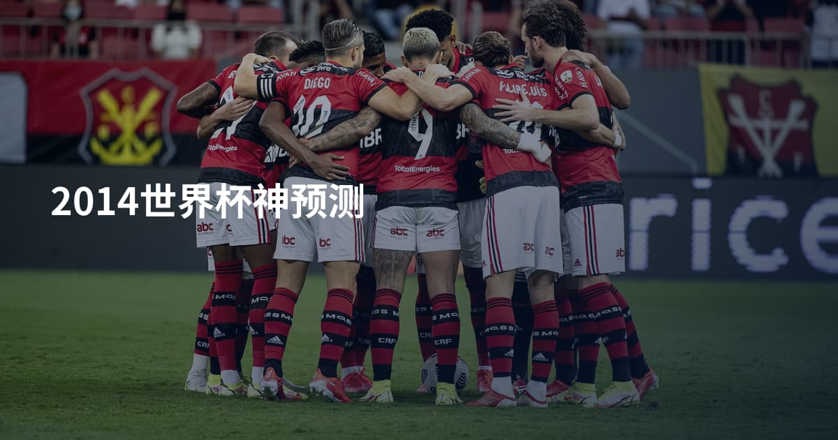 2014世界杯神预测