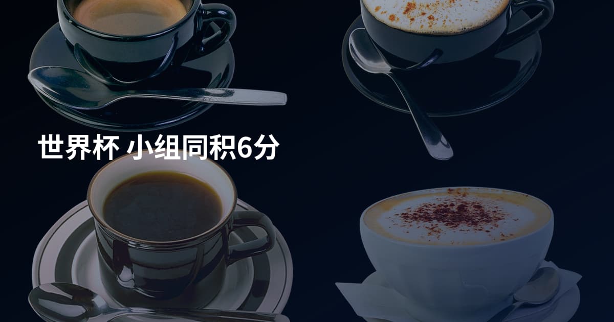 世界杯 小组同积6分
