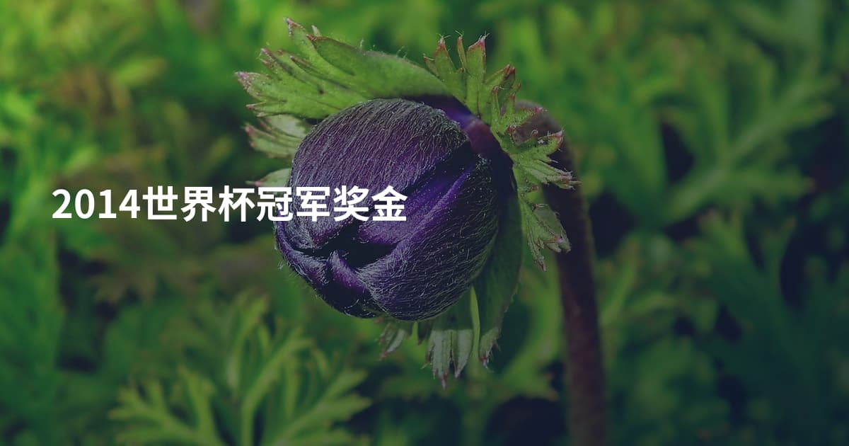 2014世界杯冠军奖金
