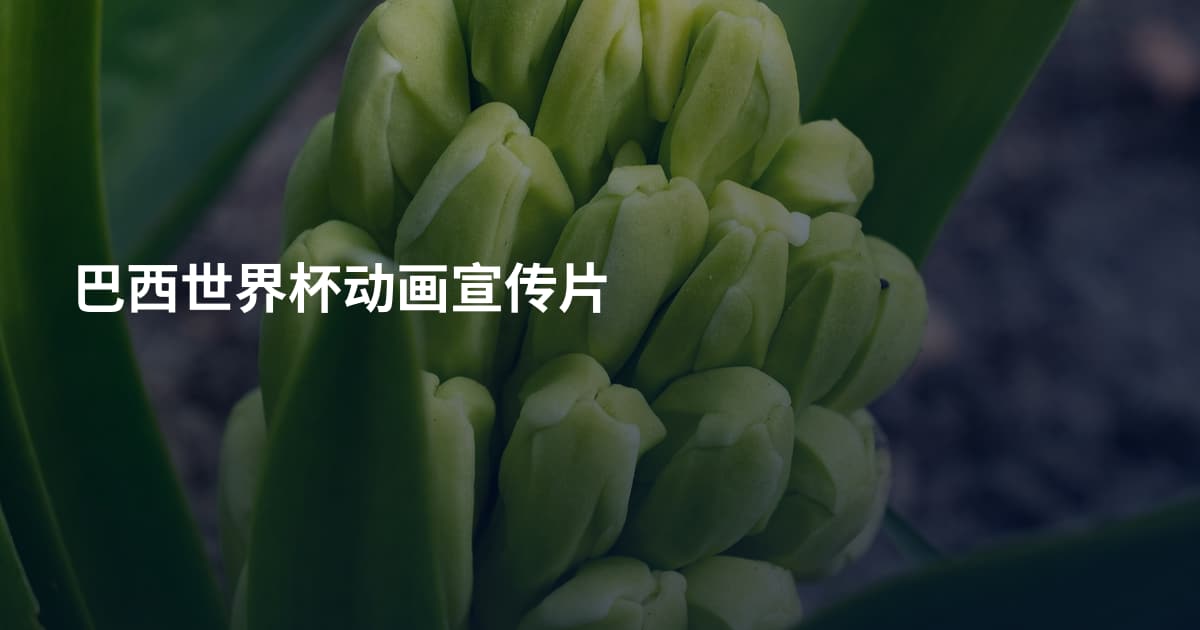 巴西世界杯动画宣传片