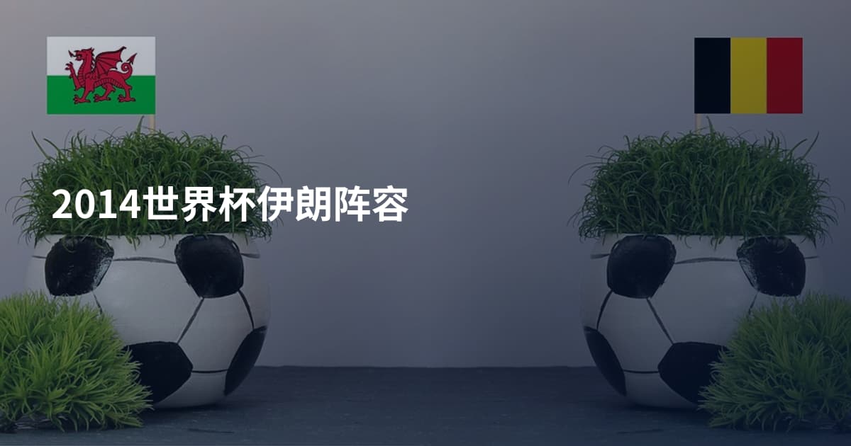2014世界杯伊朗阵容