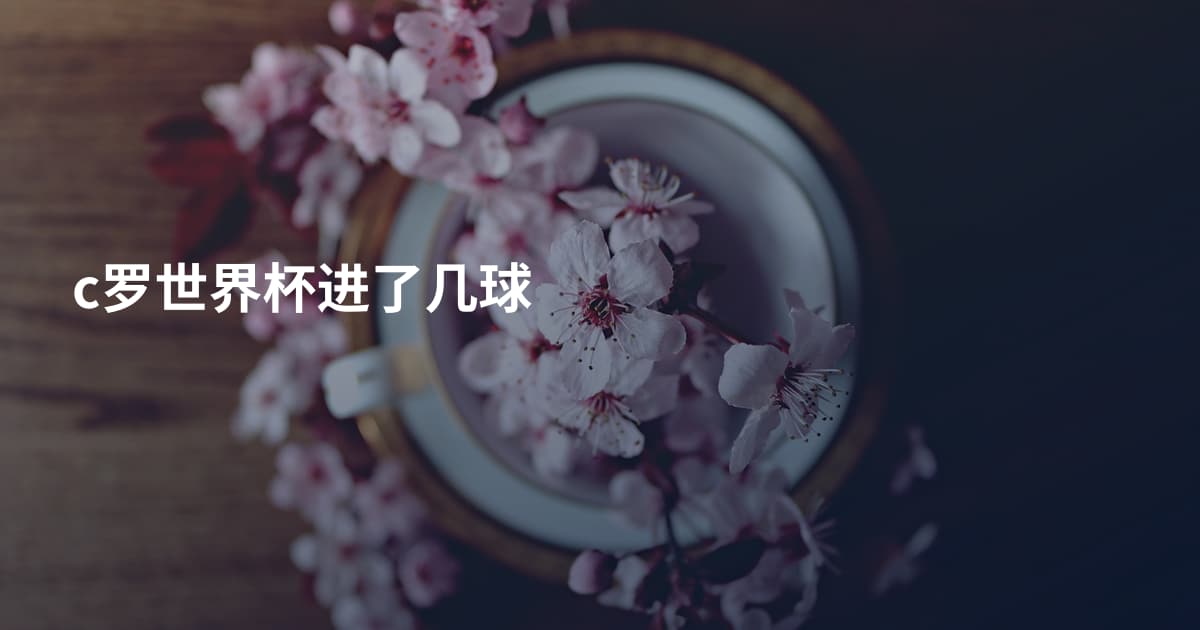 c罗世界杯进了几球