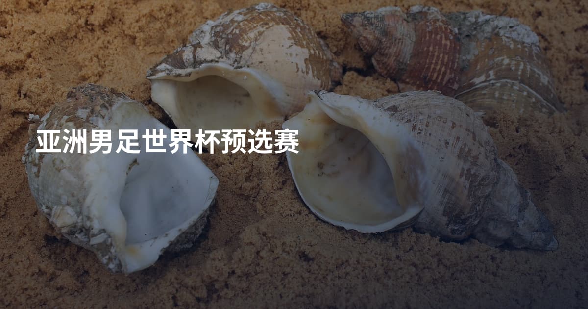 亚洲男足世界杯预选赛