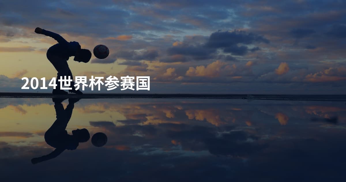2014世界杯参赛国
