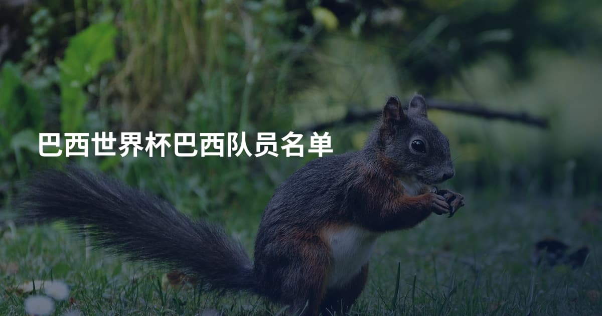 巴西世界杯巴西队员名单