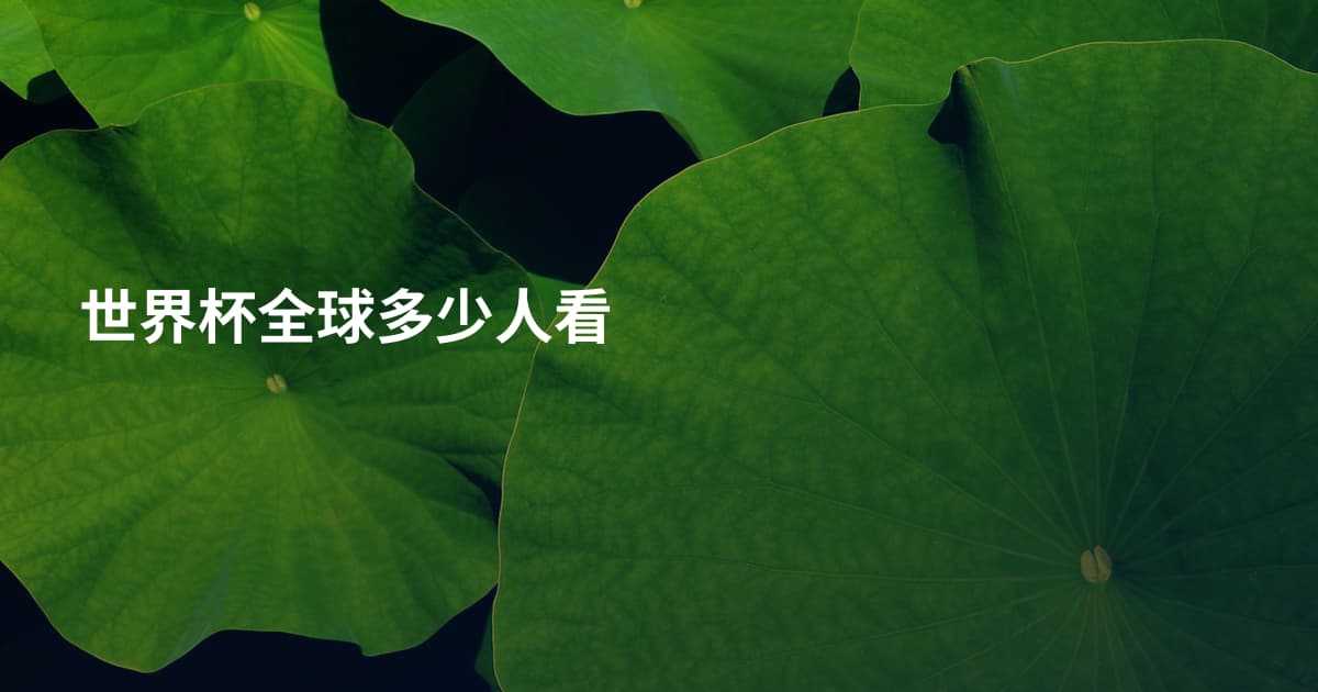 世界杯全球多少人看