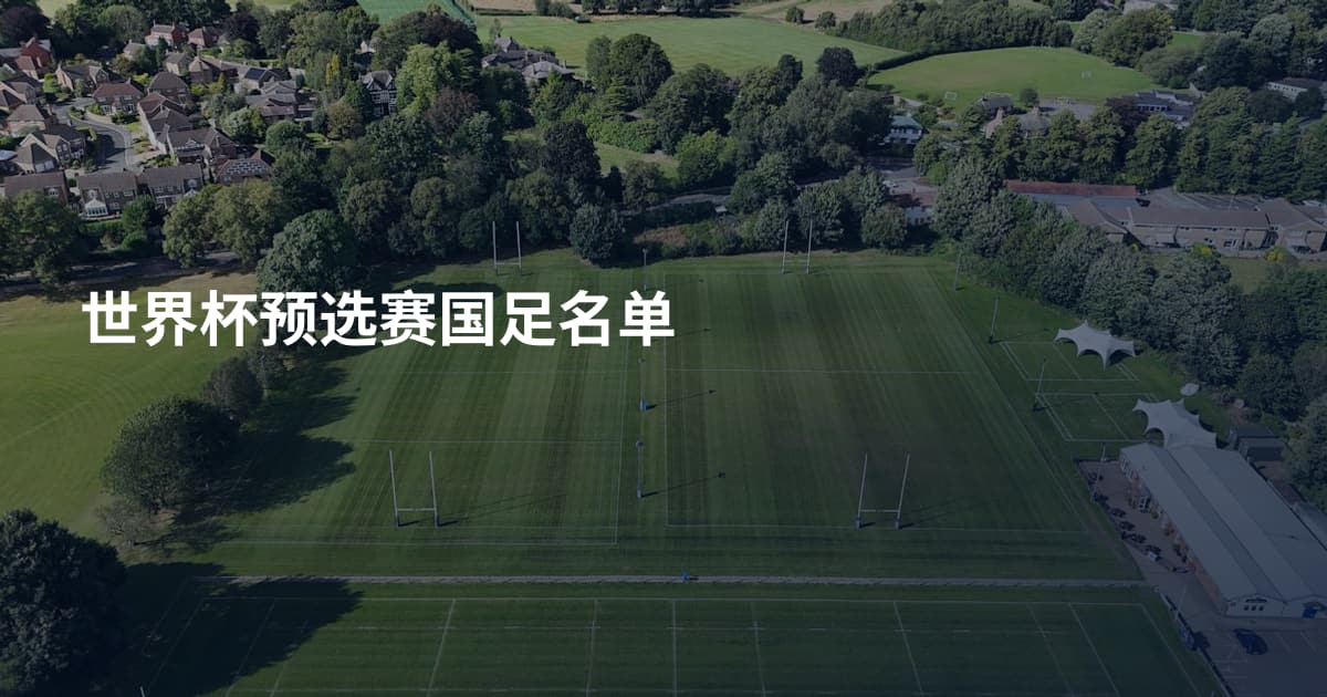 世界杯预选赛国足名单
