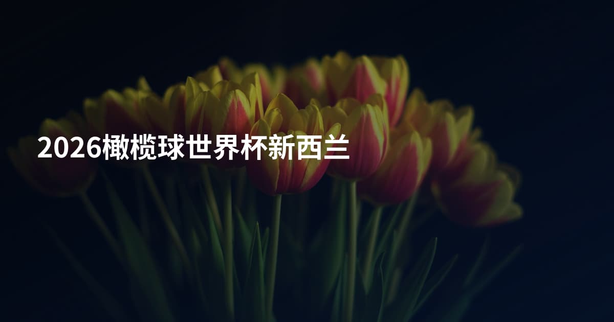 2026橄榄球世界杯新西兰
