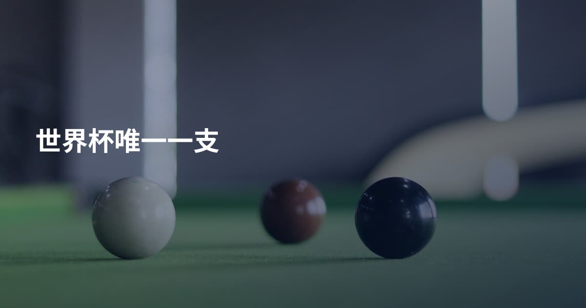 世界杯唯一一支
