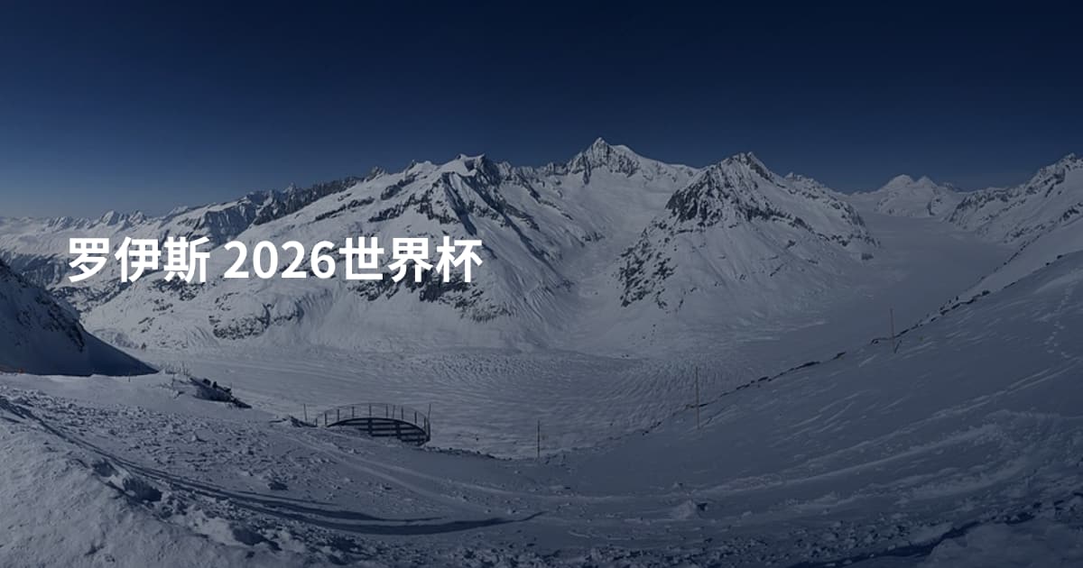 罗伊斯 2026世界杯