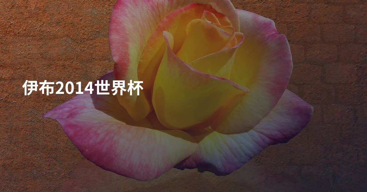 伊布2014世界杯