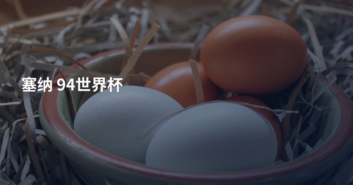 塞纳 94世界杯