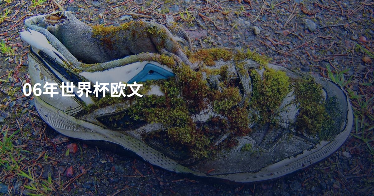 06年世界杯欧文