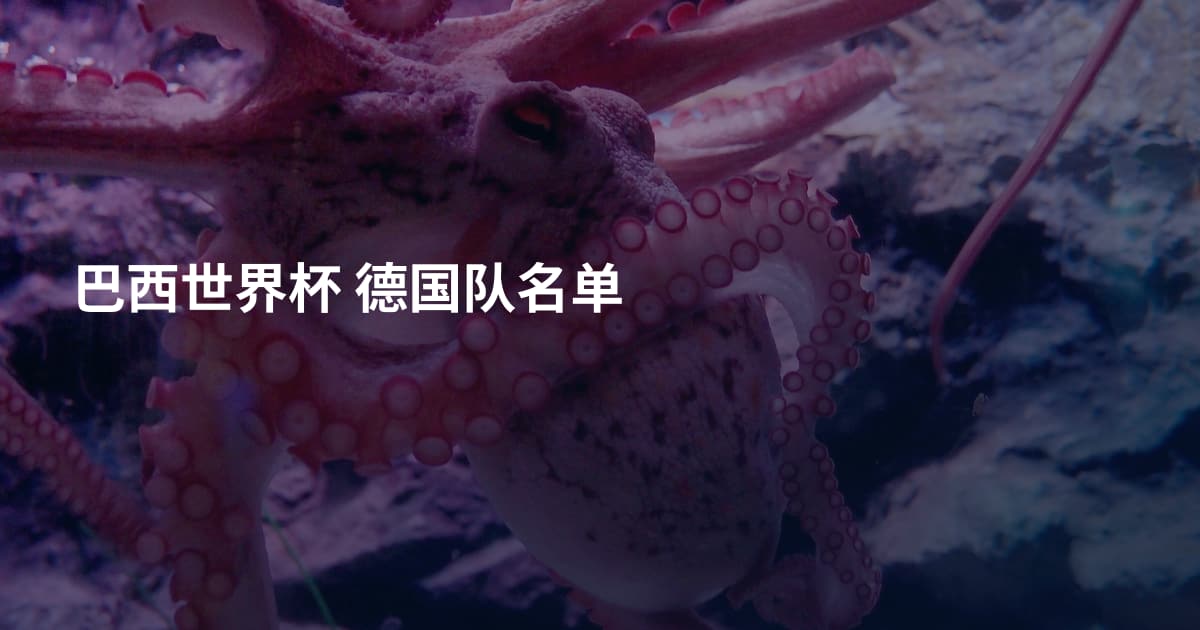 巴西世界杯 德国队名单