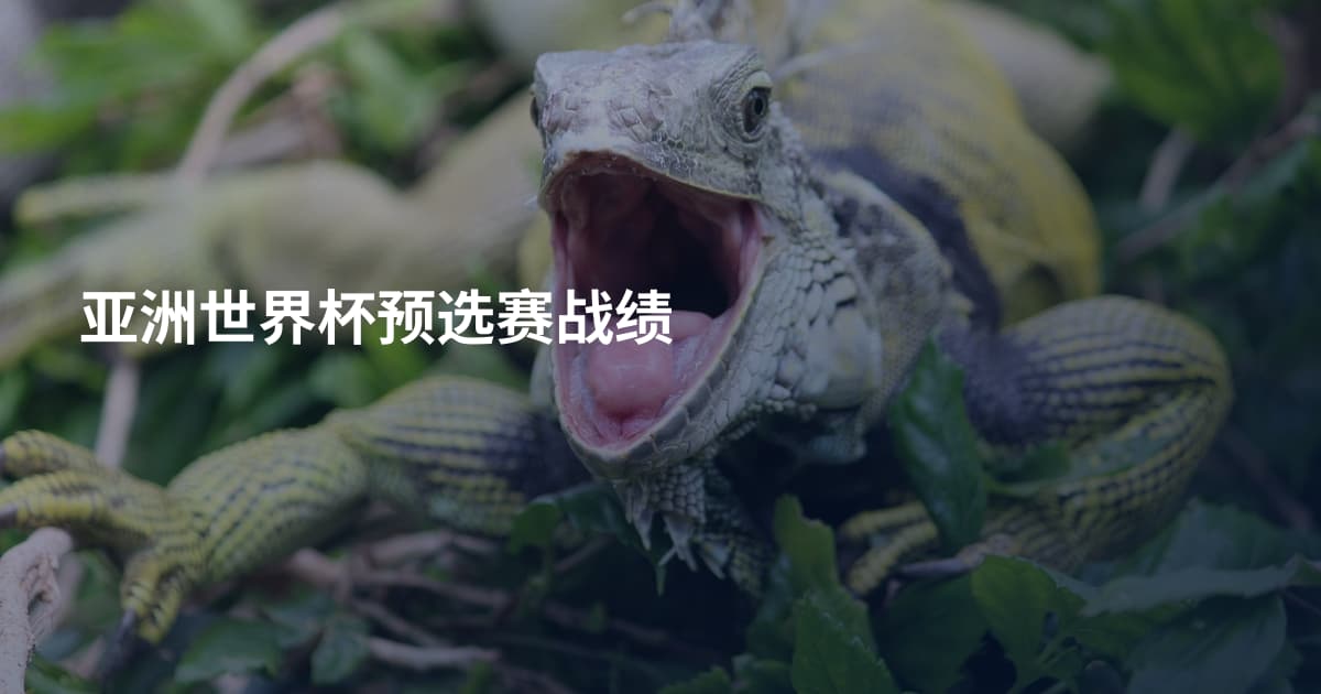 亚洲世界杯预选赛战绩