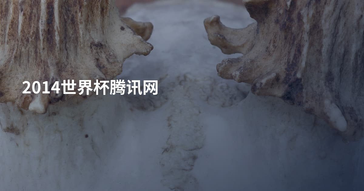 2014世界杯腾讯网