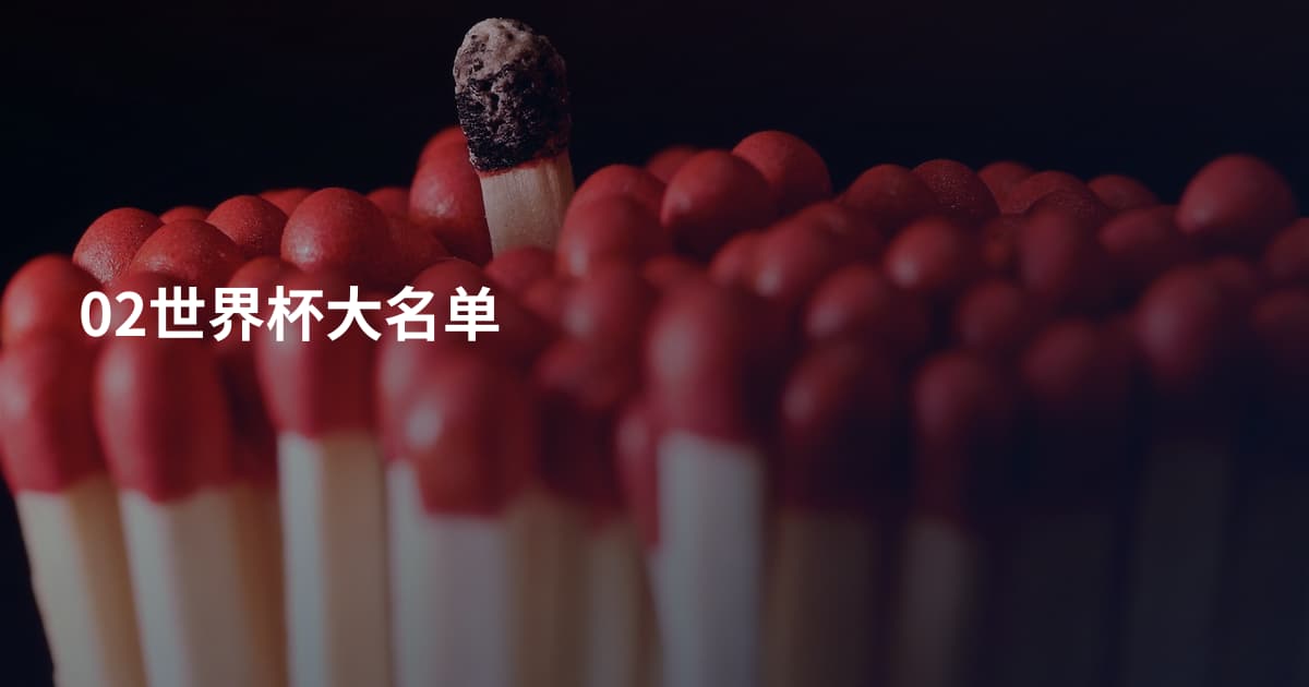 02世界杯大名单
