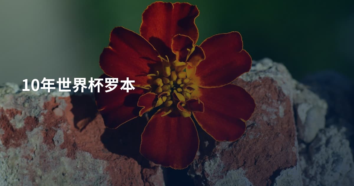 10年世界杯罗本