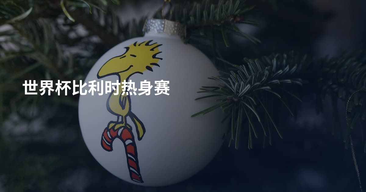 世界杯比利时热身赛