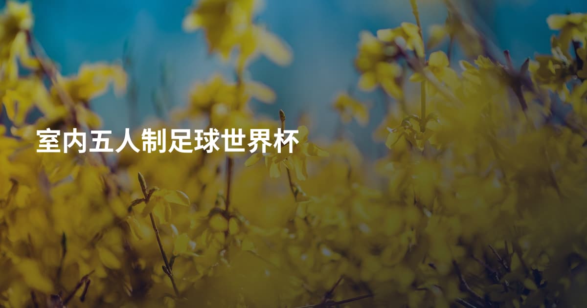 室内五人制足球世界杯