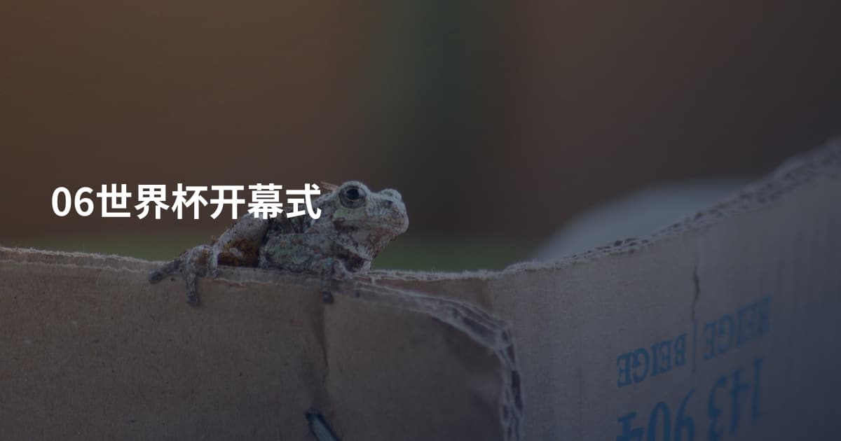 06世界杯开幕式
