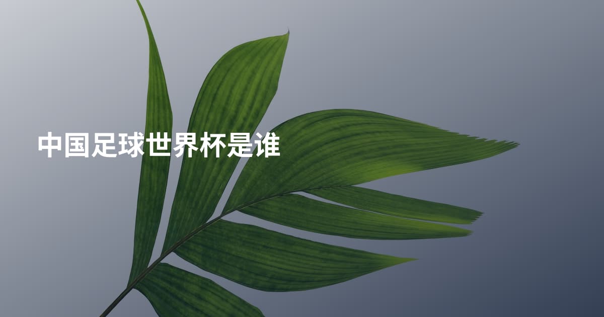 中国足球世界杯是谁