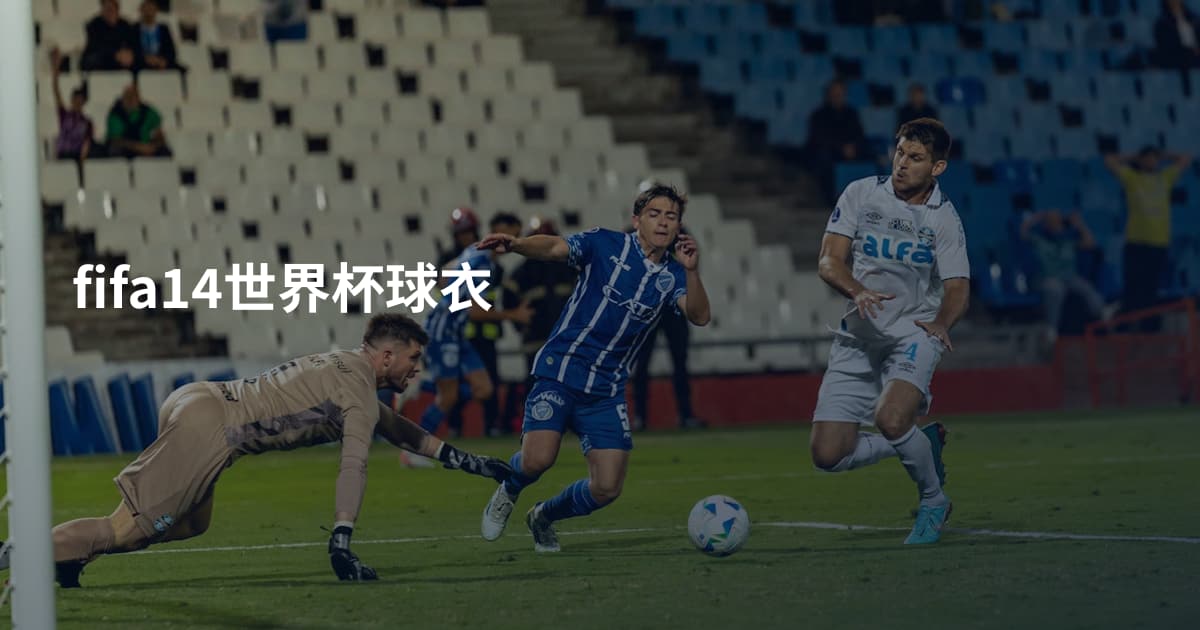 fifa14世界杯球衣