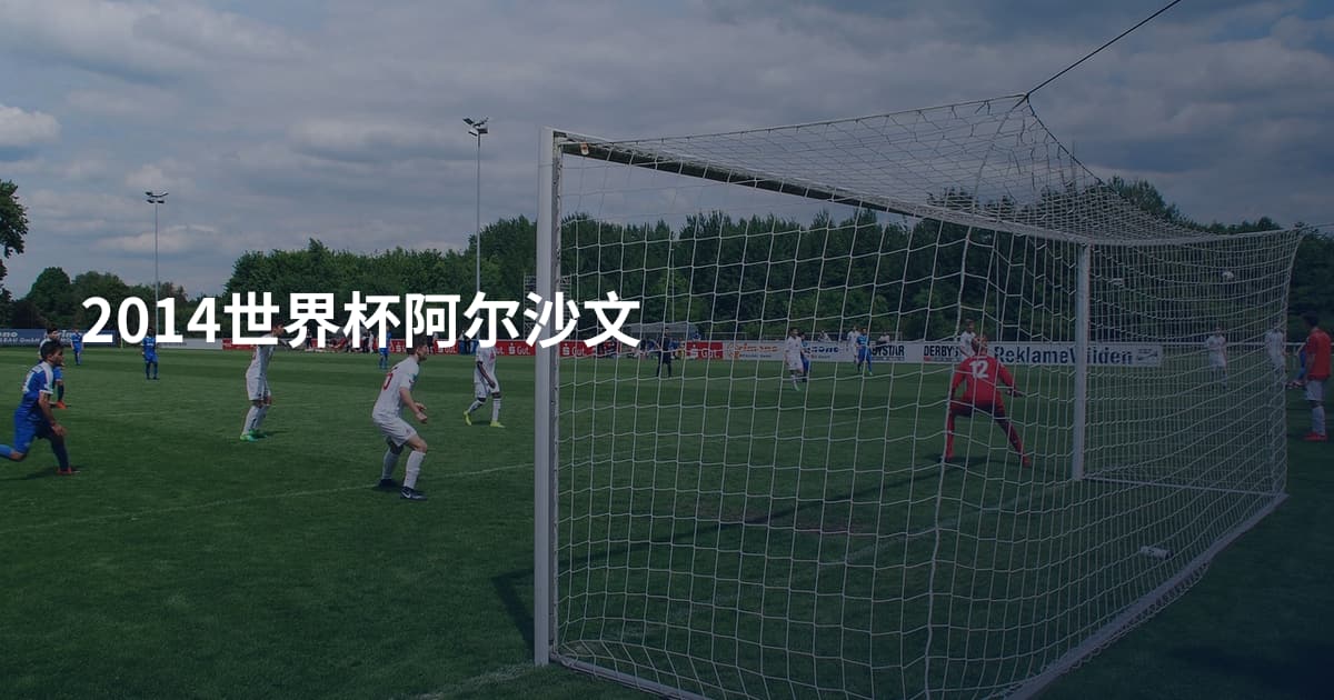 2014世界杯阿尔沙文
