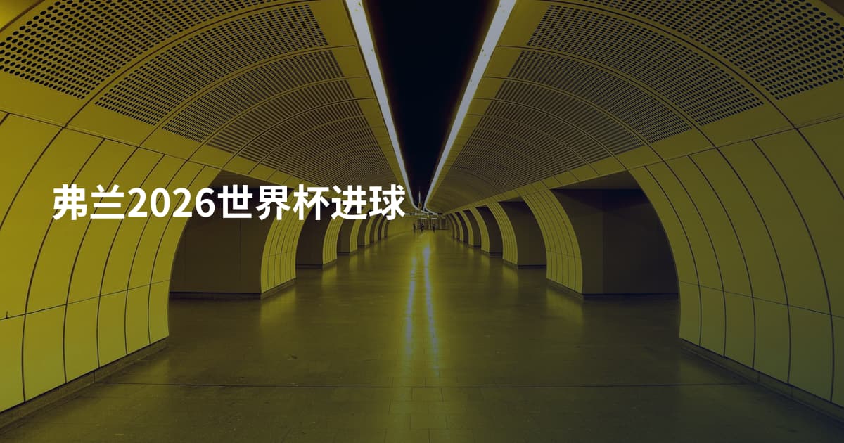 弗兰2026世界杯进球