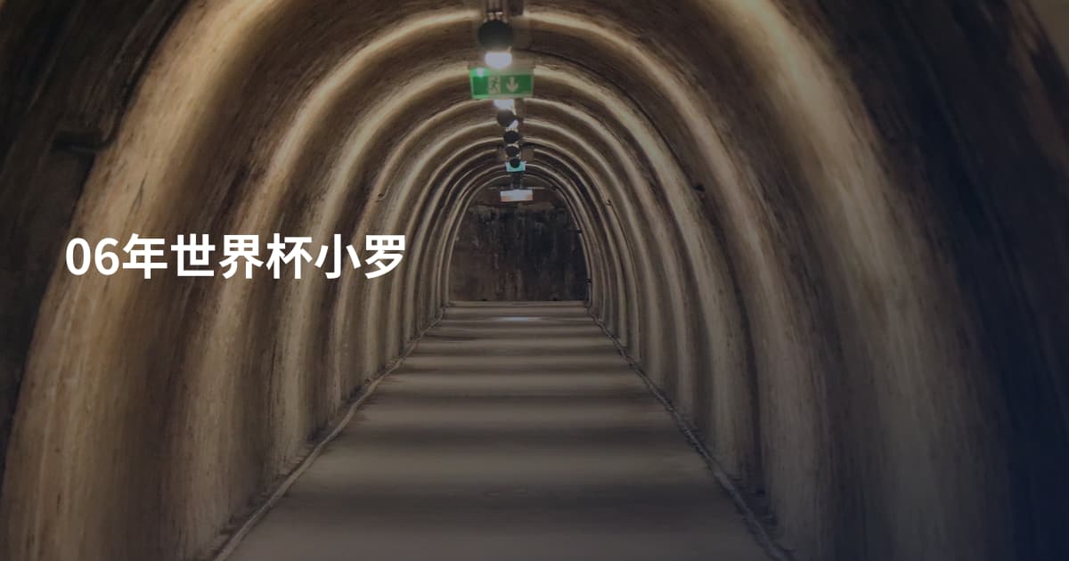 06年世界杯小罗