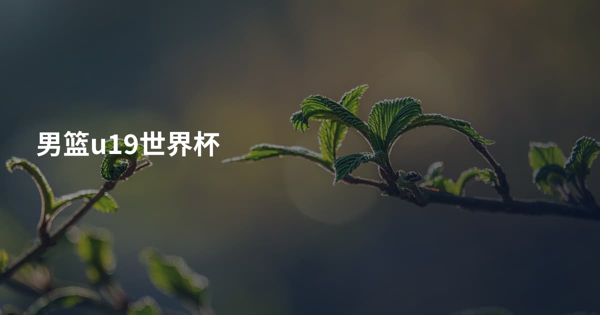男篮u19世界杯