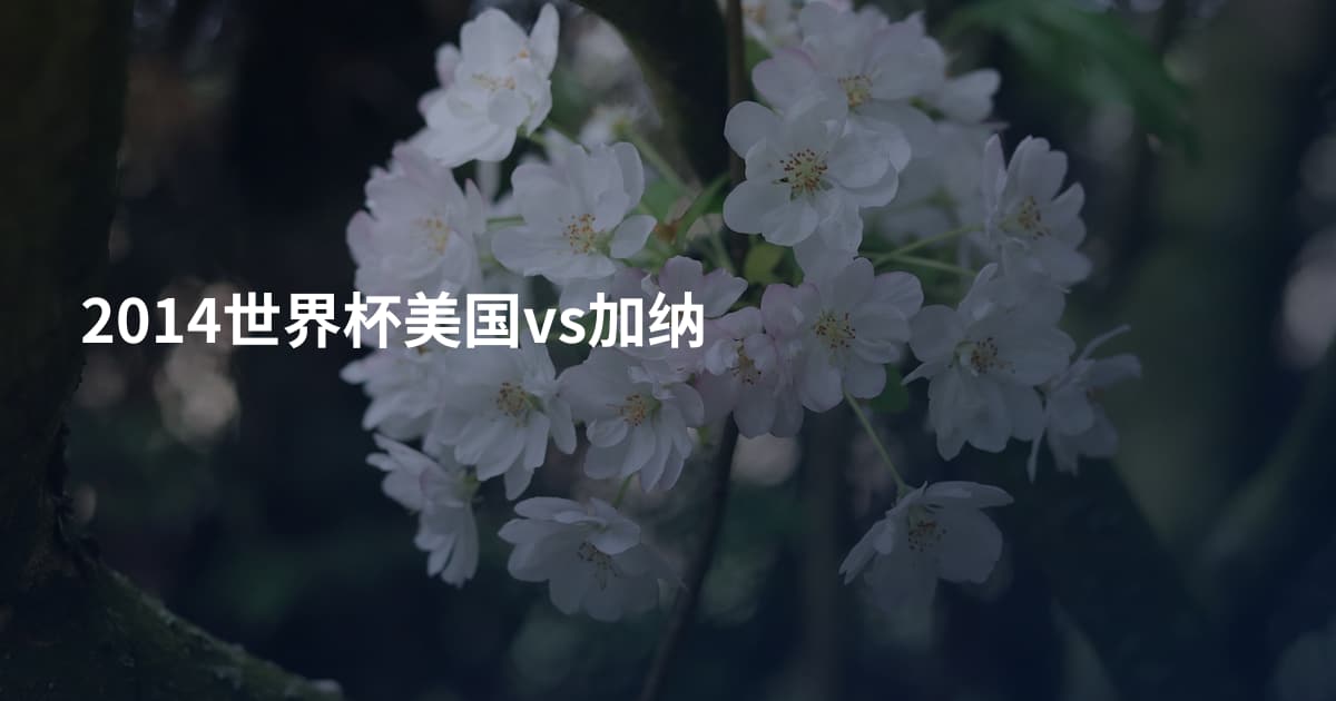 2014世界杯美国vs加纳