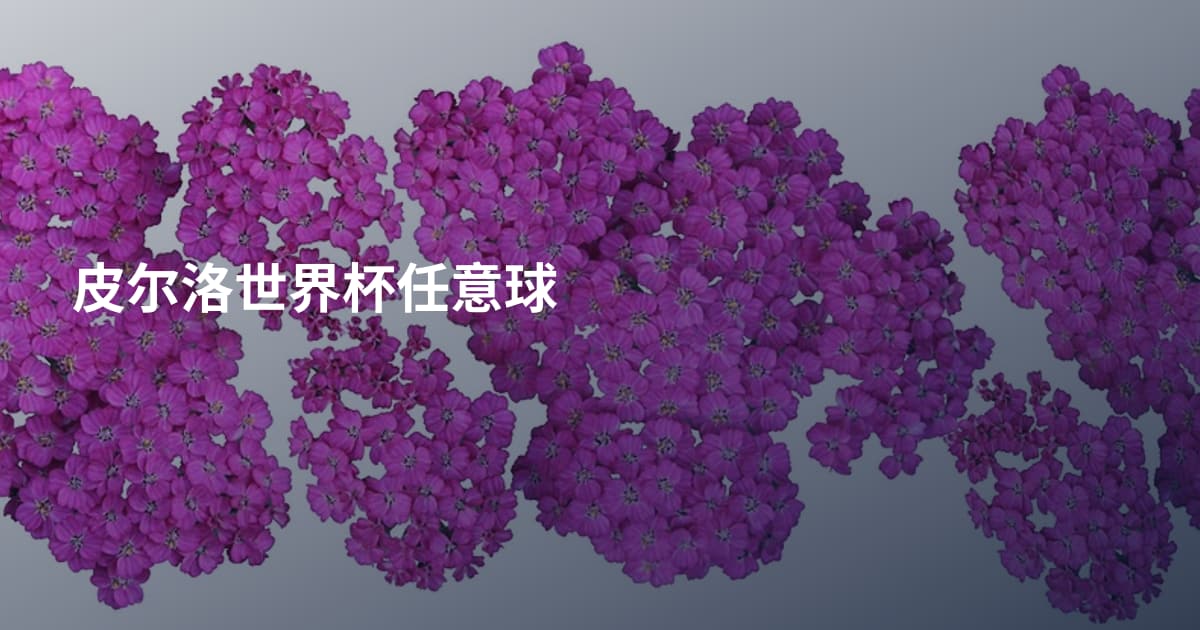 皮尔洛世界杯任意球