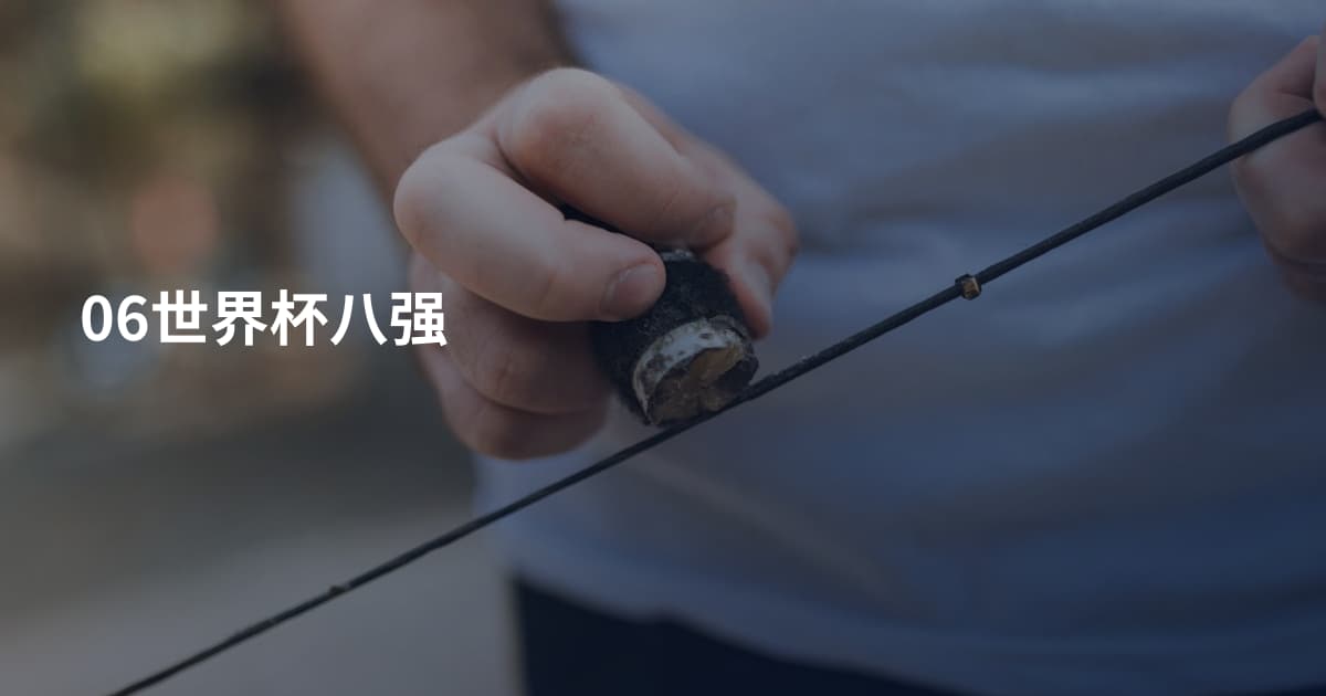 06世界杯八强