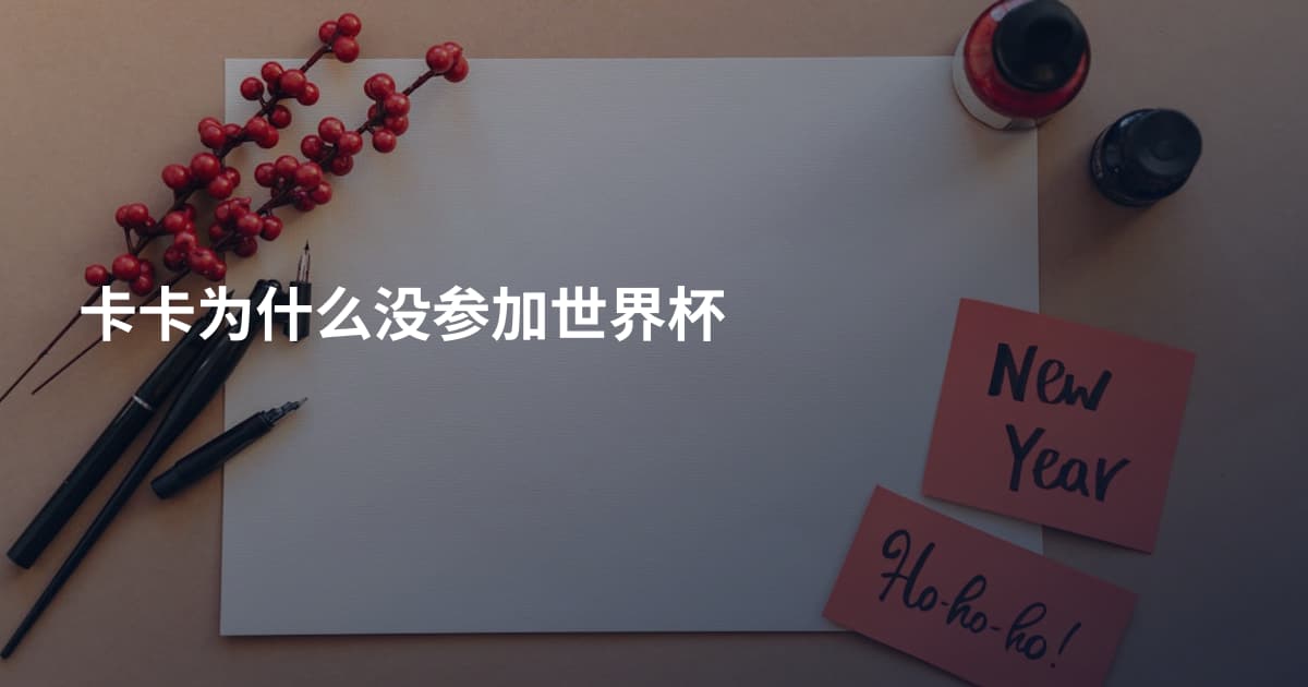 卡卡为什么没参加世界杯
