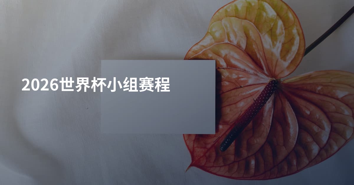 2026世界杯小组赛程