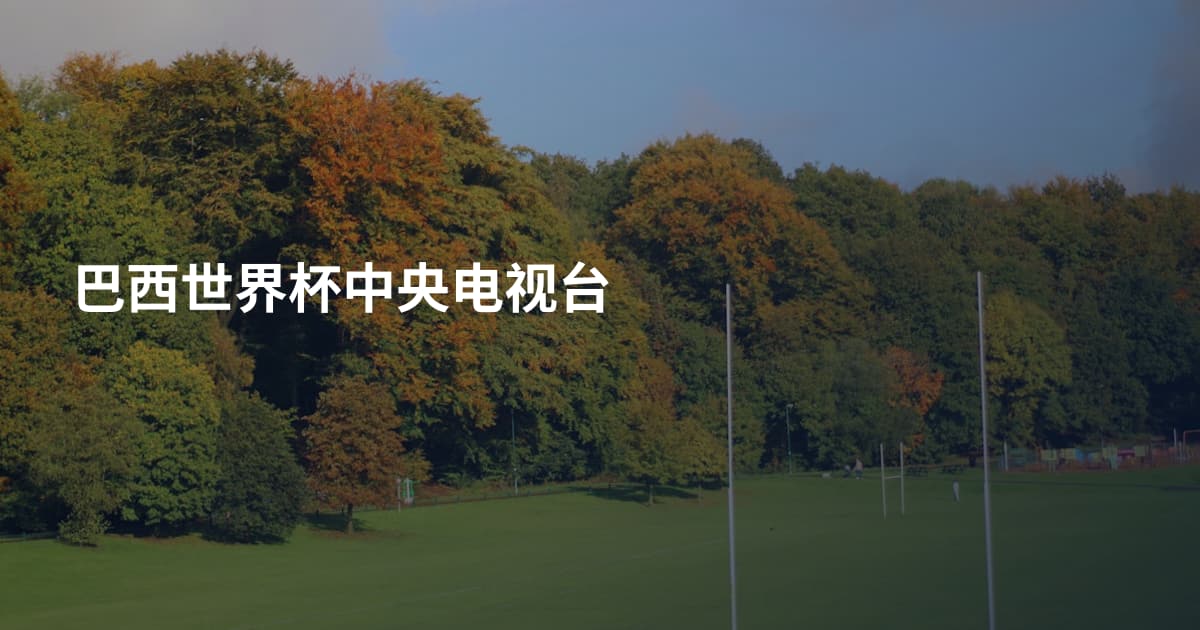 巴西世界杯中央电视台