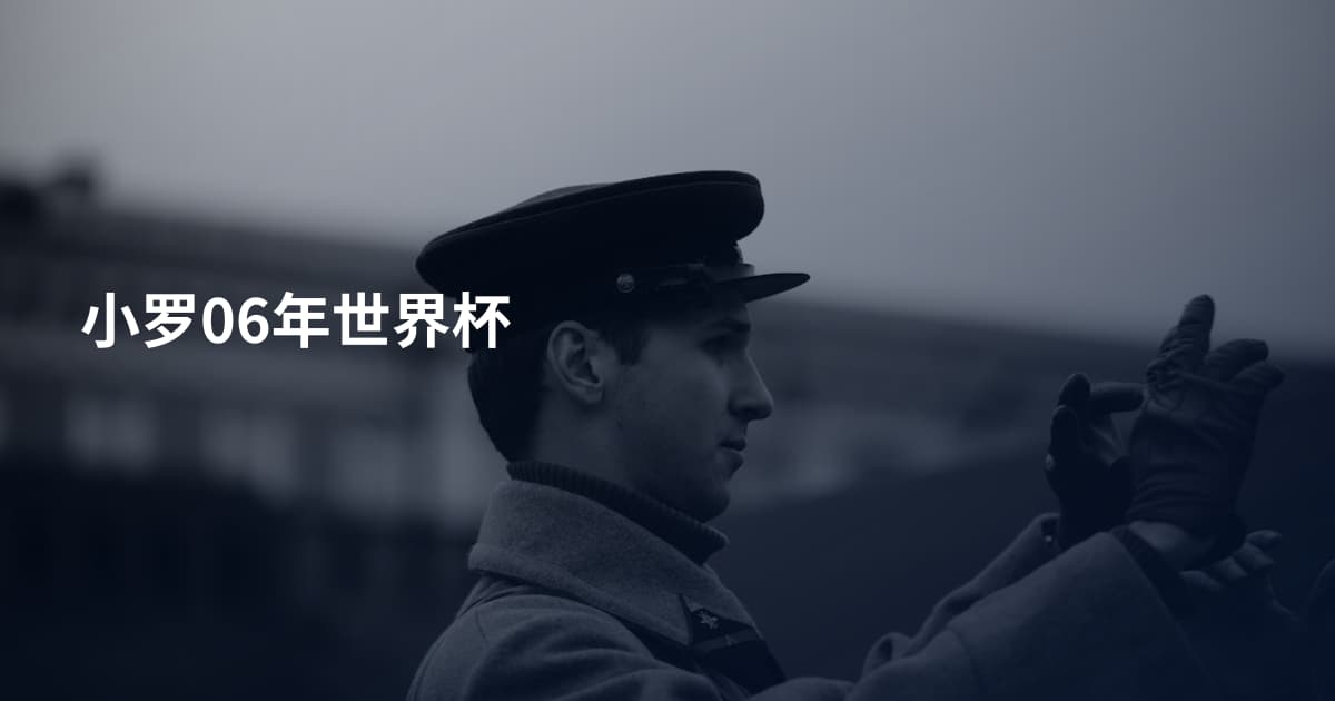 小罗06年世界杯