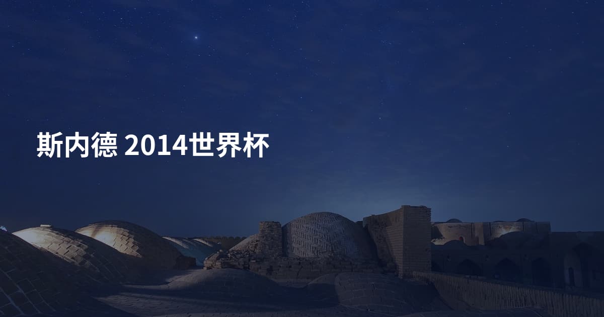 斯内德 2014世界杯