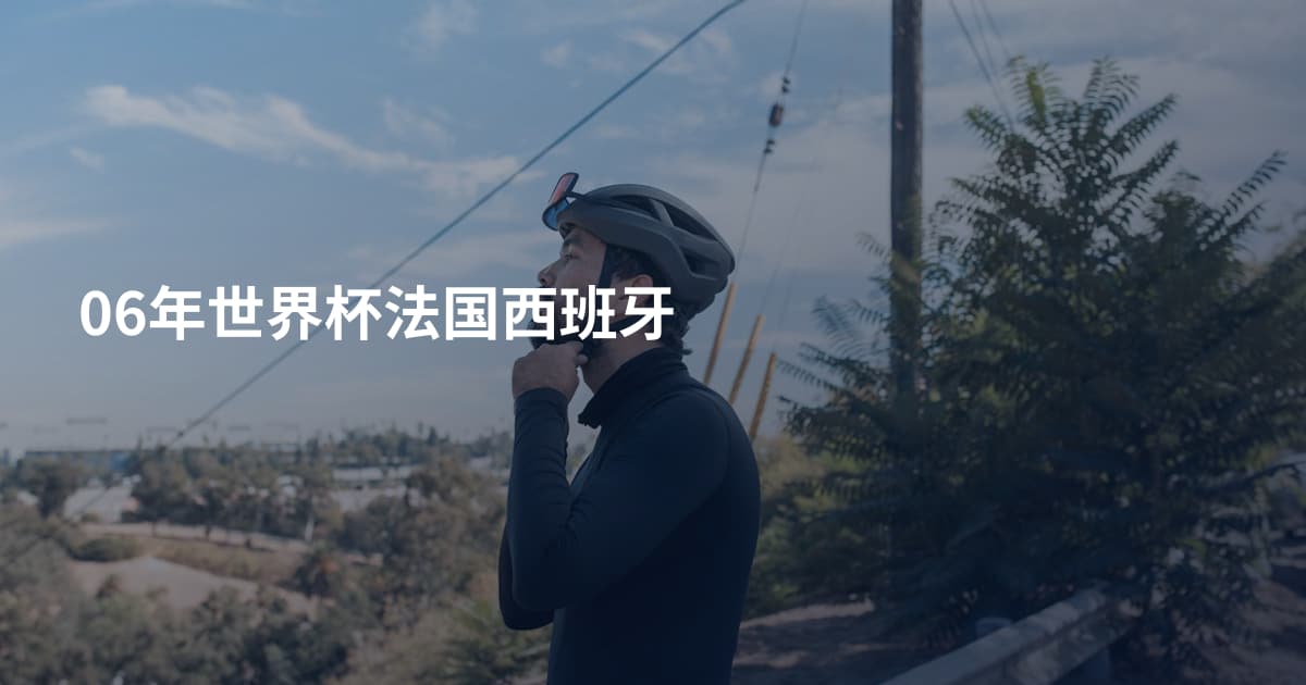 06年世界杯法国西班牙