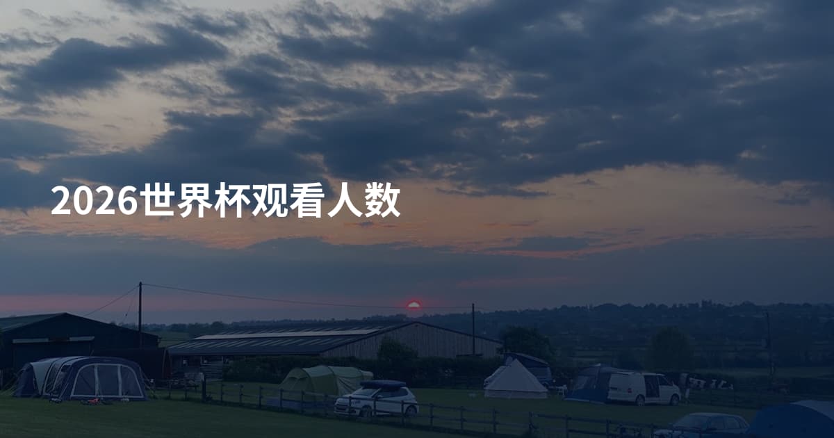 2026世界杯观看人数