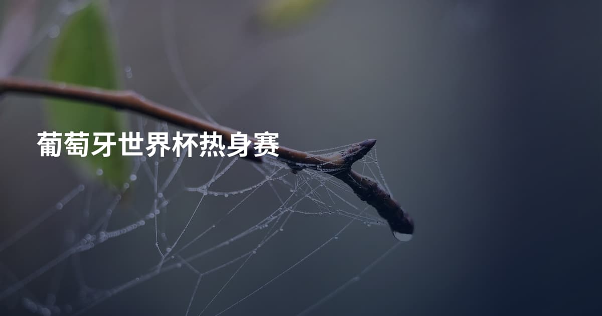 葡萄牙世界杯热身赛